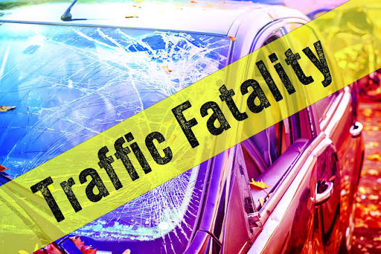Anniston Man Killed in Pedestrian Crash on Alabama 202