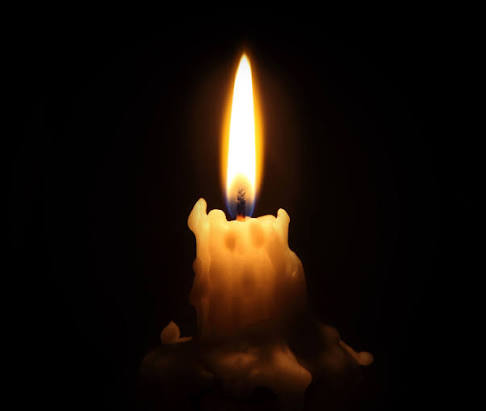 Allison Feldman Obituary