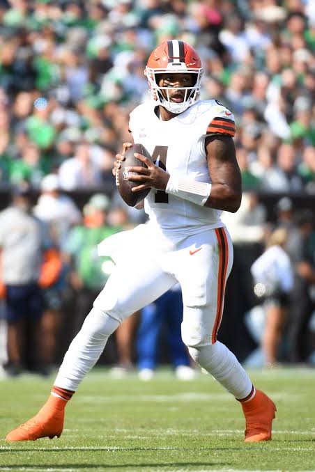 Deshaun Watson net worth