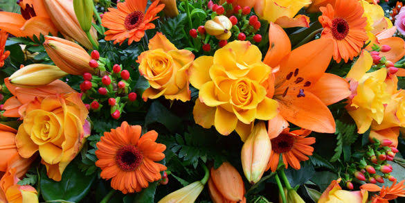 Kimberly June Clements- Ward Obituary